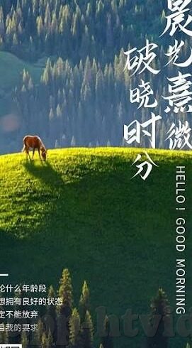 成人手机免费视频-成人手机免费视频，信息时代的双刃剑