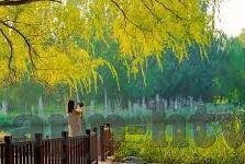 蜜臀av一区二区三区日韩-蜜臀之美，一区、二区、三区的日韩风情